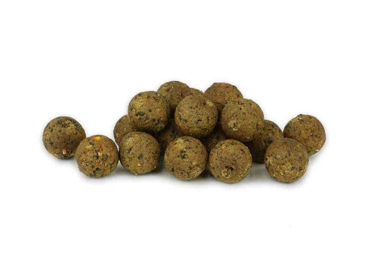 Nikl Ready Giga Squid Boilie - Tintahalas bojli