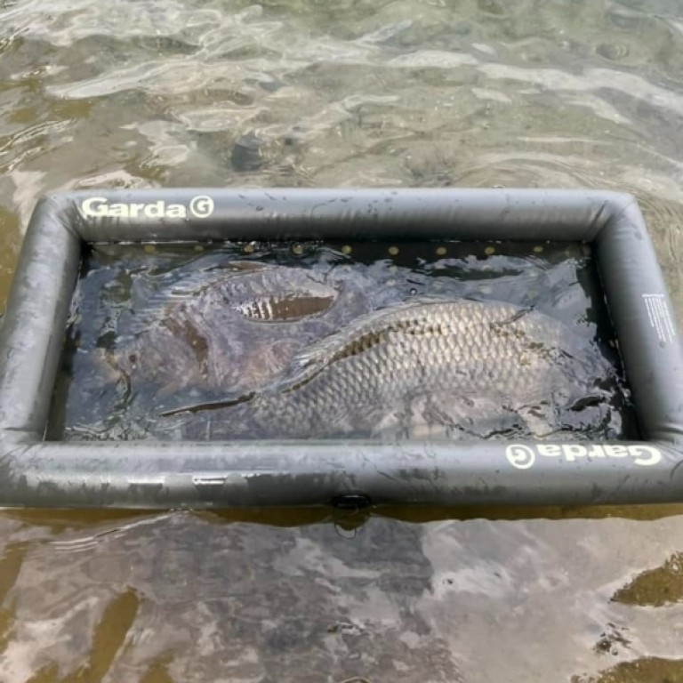 Garda Carp Floating Mat - Felfújható haltároló matrac