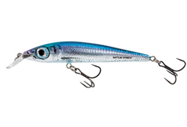 Salmo Wobbler Rattlin Sting RS9 HBU