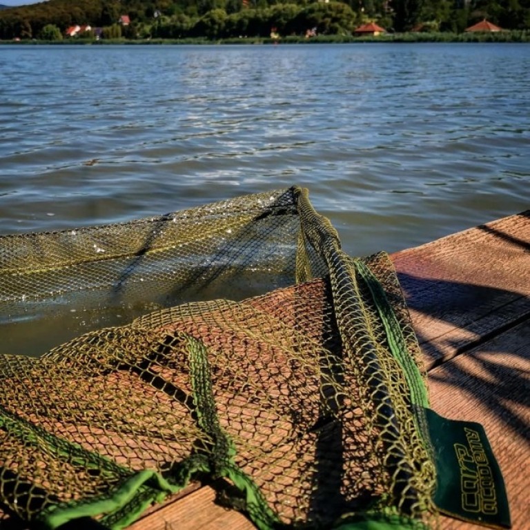 Carp Academy Boilis merítőfej gumírozott