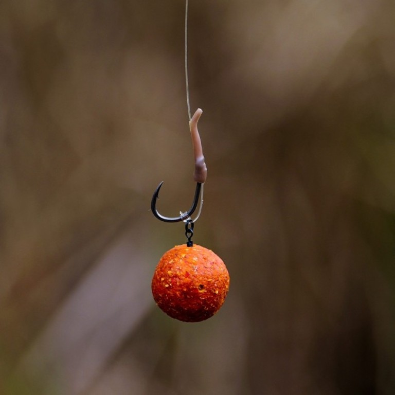 Stég Long Life Boilie Strawberry-Halibut 20 mm