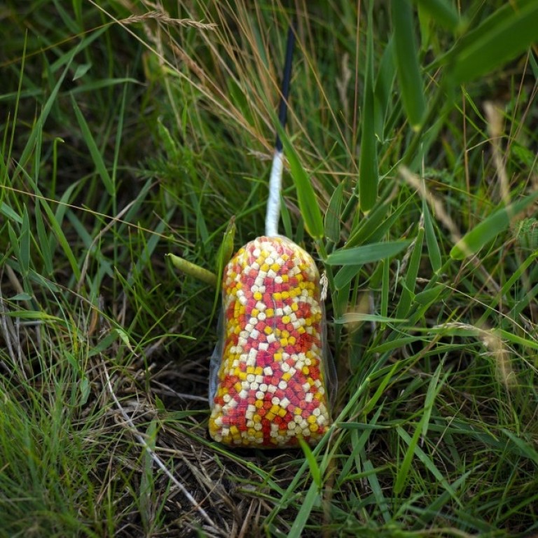 Stég Product Pellet Mix Chili-Peach 3 mm 800 g