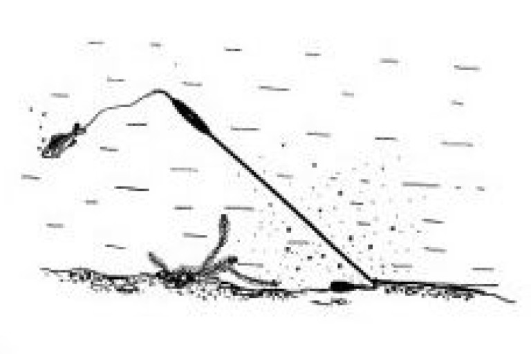 Horváth Búvárúszó Közepes 40 cm