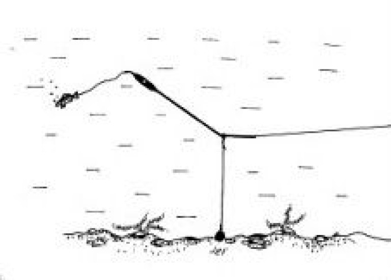 Horváth Búvárúszó Közepes 40 cm