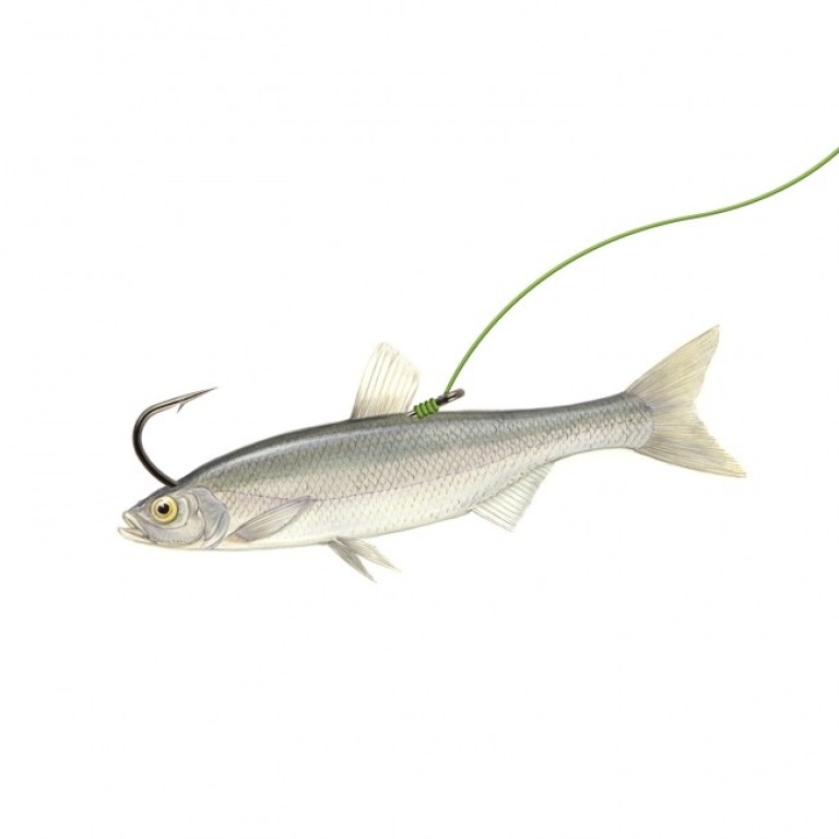 Nevis Zander Strong 1/0 - Süllőző horog