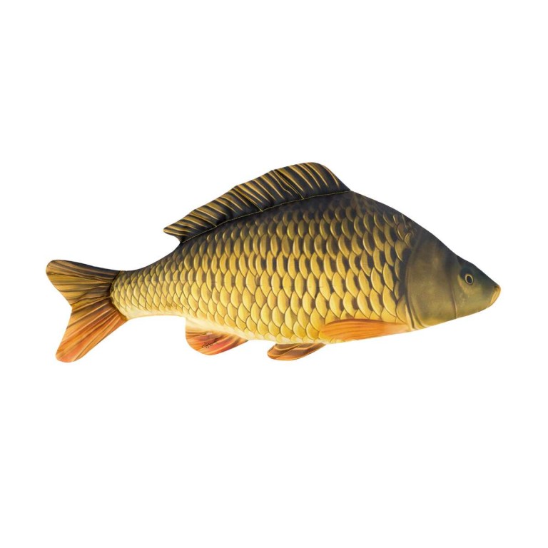 Halas párna pikkelyes ponty